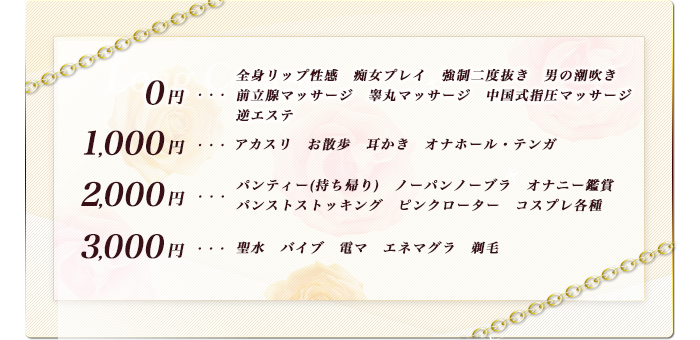 各種オプション